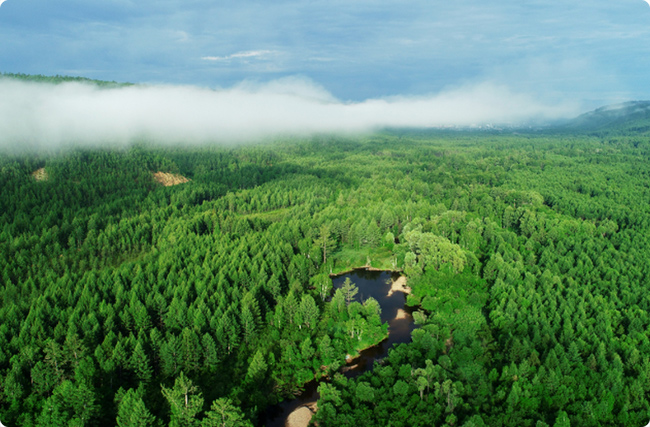 �֘I̼�R�Ŀ�������x��ָ�ϣ�����x̼�R�־W��